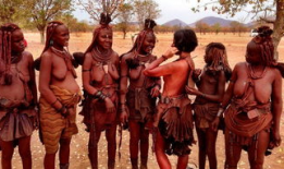 日本裸体美女视频